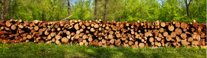 Chauffage au bois écologie